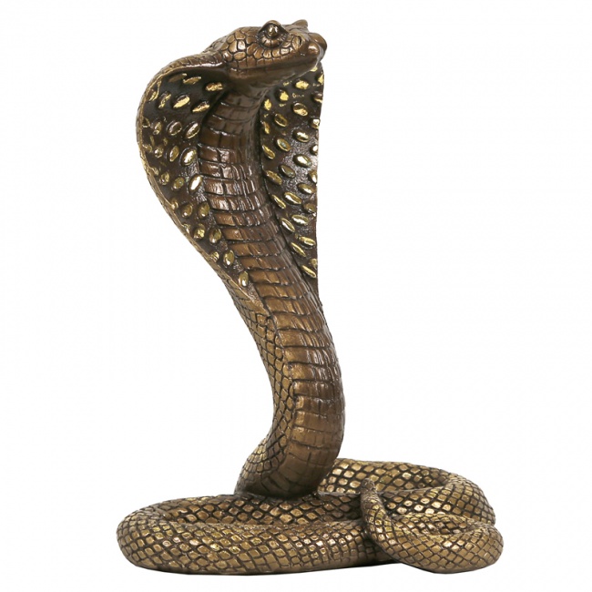 ��������� "����"