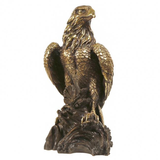 ��������� "���� �����������"