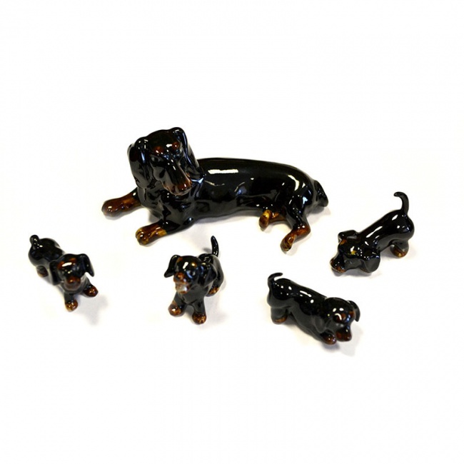 "����-����� �� �������" ����� 5 ��.T351