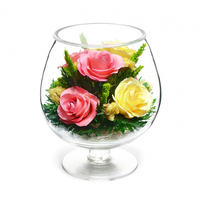 ���������� �� ����������� ��� (GLR5c)