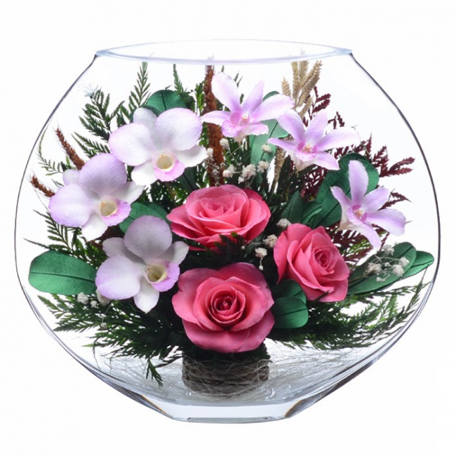 ���������� �� ��� � ������� (���. EMM-03)