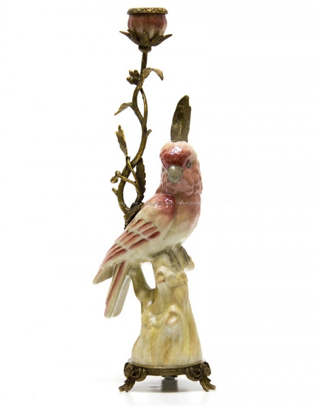 ���������� 41��