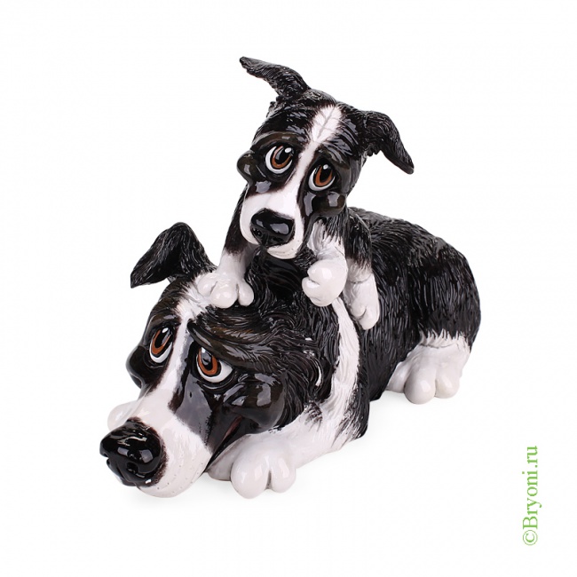 5503 ������� ������- ����� � ����� Border Collie&Pup