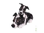 5503 ������� ������- ����� � ����� Border Collie&Pup