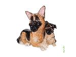5502 ������� �������� ������� � ����� German Shepherd&Pup