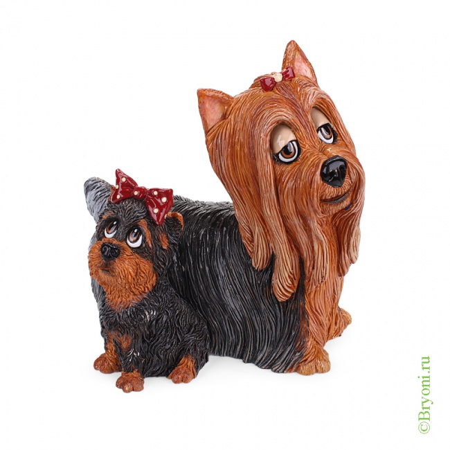 5504 ������� ����������� ������ � ����� Yorkie&Pup