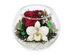 ���������� �� ��� � ������� (���. BSM2)